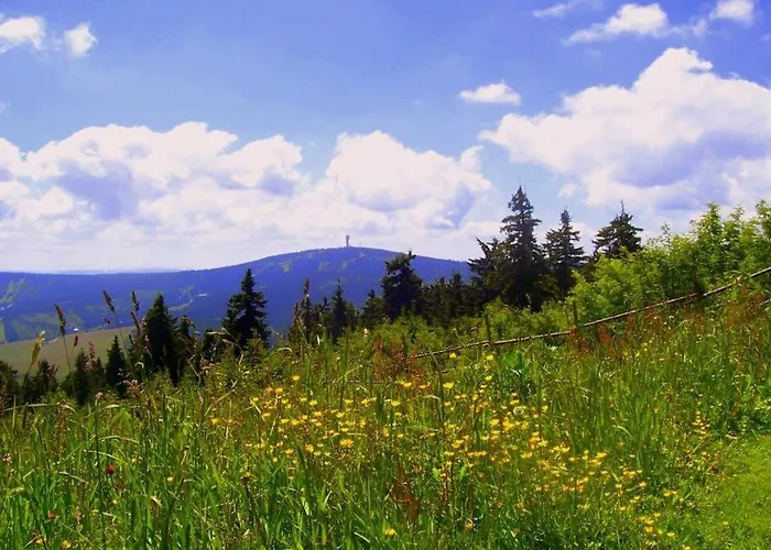 Apartment Ferienwohnung-panoramablick *
